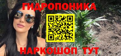 трава Новозыбков