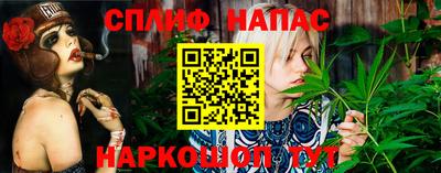 apvp Новодвинск