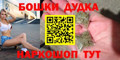 apvp Новодвинск