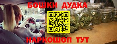 apvp Новодвинск
