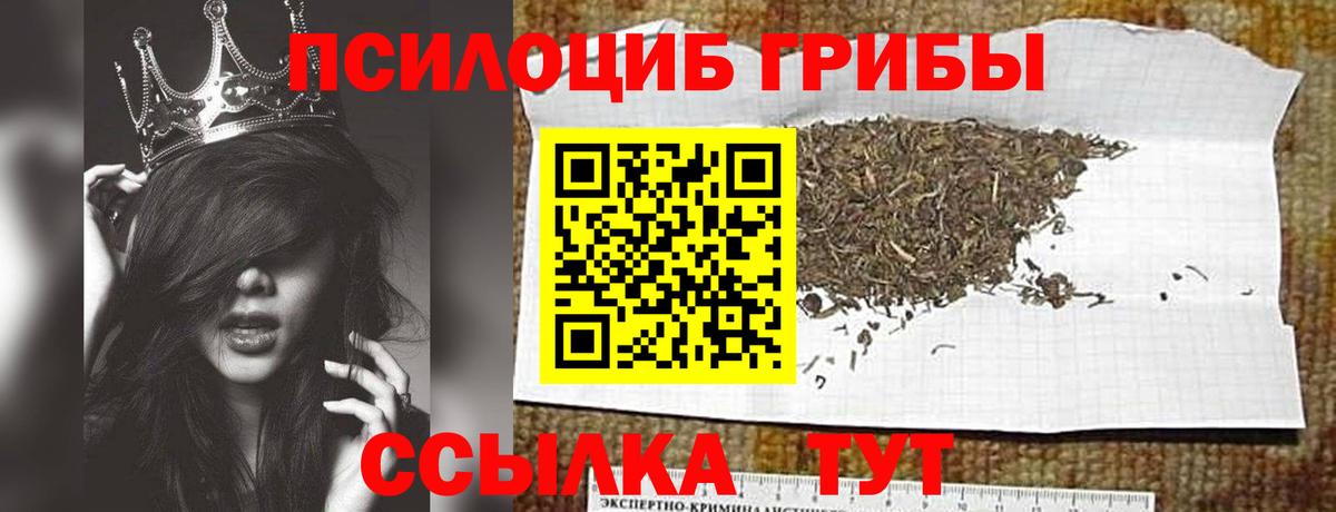 Холмск  купить закладку  Вход с VPN  Псилоцибиновые грибы ЛСД 